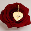 Load image into Gallery viewer, Diamond Starburst Heart Pendant
