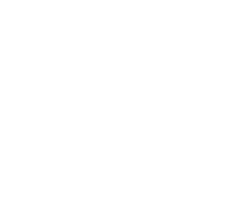 L.A. Stein